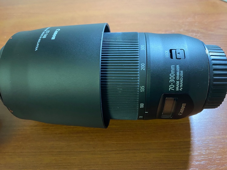 EF 70-300（カメラ）の商品画像 - 査定依頼日：2026年9月27日 - 最高査定価格：55,000円