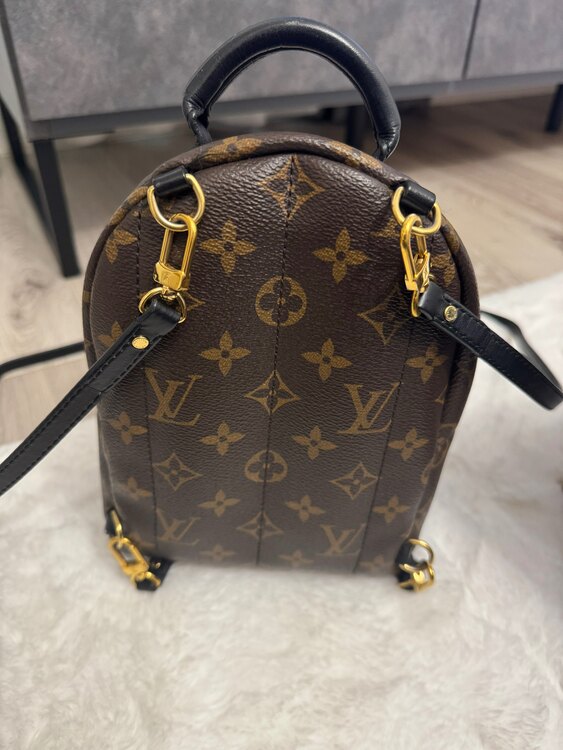 パームスプリングスバックパックMINI（ブランドバッグ）の商品画像 - 査定依頼日：2025年2月28日 - 最高査定価格：100,000円