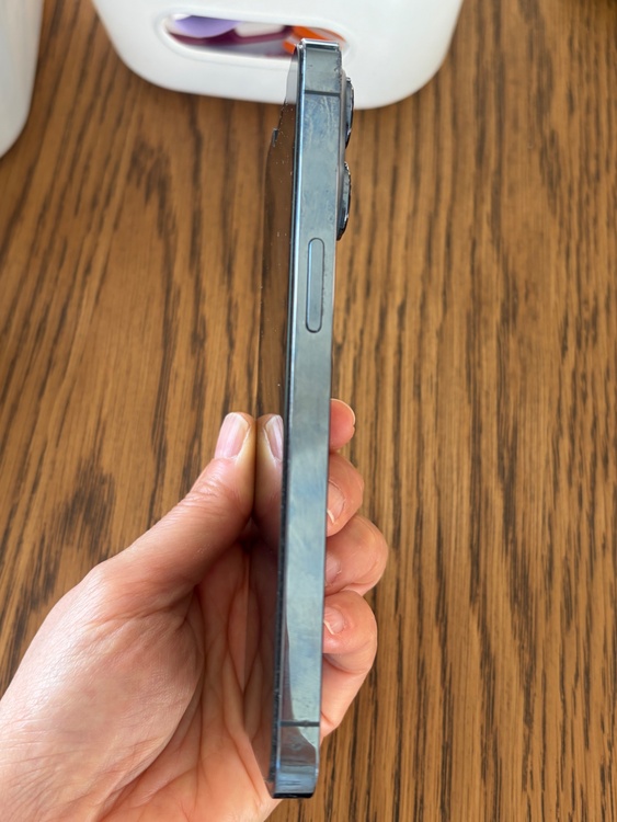 iPhone 13 Pro（スマホ）の商品画像 - 査定依頼日：2026年2月6日 - 最高査定価格：49,000円