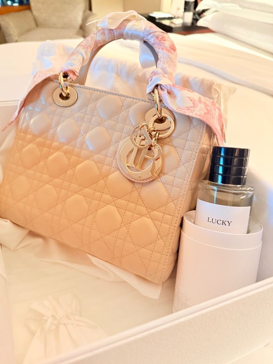 レディディオール（ブランドバッグ）の商品画像 - 査定依頼日：2026年2月8日 - 最高査定価格：450,000円