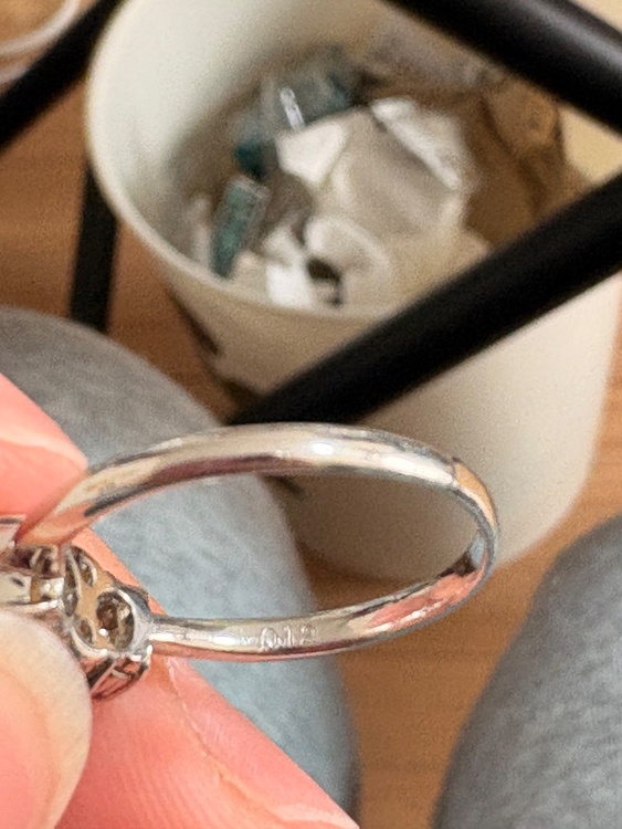 その他 その他 （ブランドバッグ）の商品画像 - 査定依頼日：2025年12月22日 - 最高査定価格：14,000円