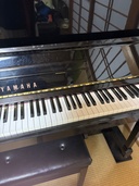 U10BI4533664（ピアノ・楽器・PA機材）の商品画像 - 査定依頼日：2026年8月1日 - 最高査定価格：20,000円