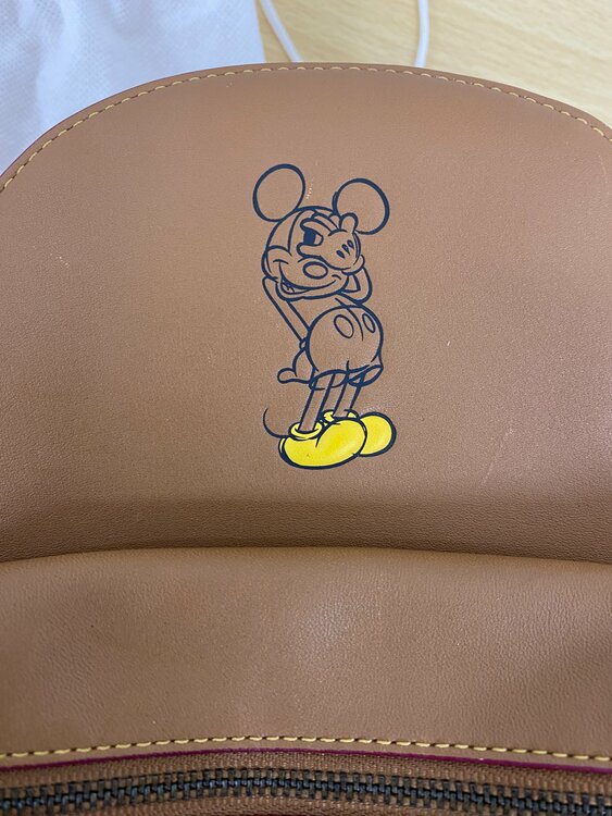 リュック（ブランドバッグ）の商品画像 - 査定依頼日：2026年4月11日 - 最高査定価格：7,000円