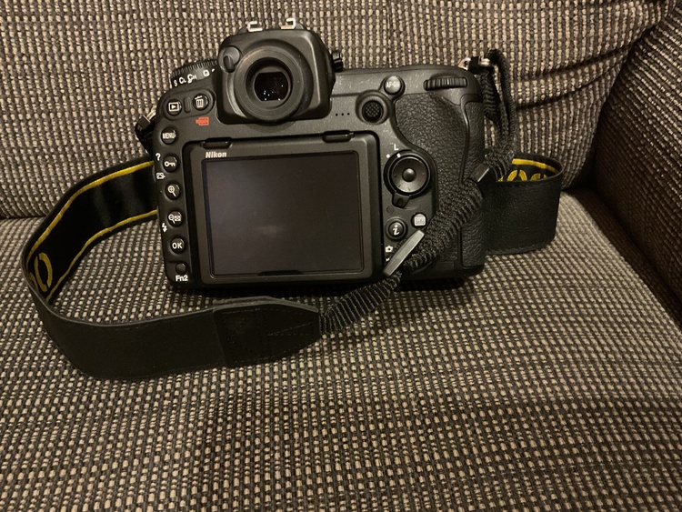 D500（カメラ）の商品画像 - 査定依頼日：2026年3月8日 - 最高査定価格：65,000円