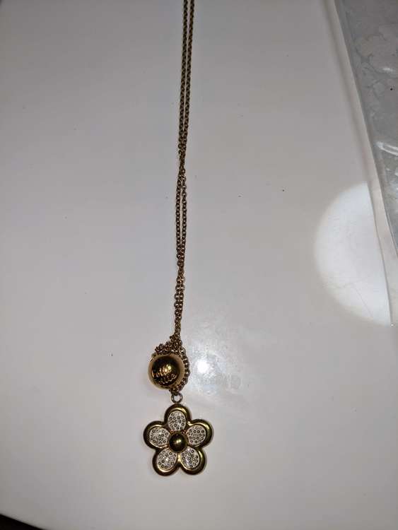 フォリフォリネックレス（金・貴金属）の商品画像 - 査定依頼日：2023年9月16日 - 最高査定価格：300円