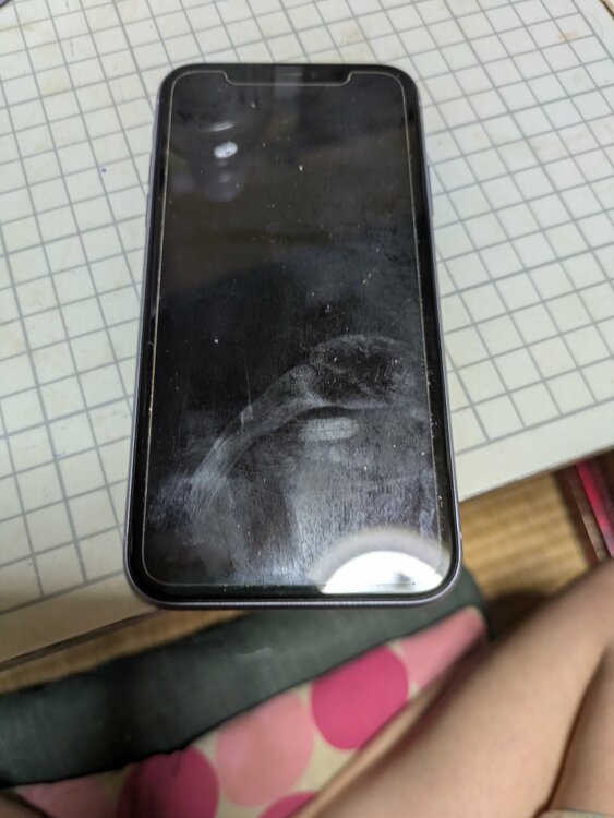 iPhone iPhone 14 256GB SIMフリー（スマホ）の商品画像 - 査定依頼日：2026年7月13日 - 最高査定価格：51,000円
