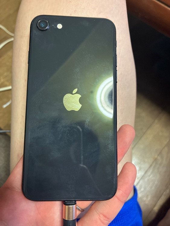 iPhone iPhoneSE 16GB docomo（スマホ）の商品画像 - 査定依頼日：2026年10月14日 - 最高査定価格：8,000円