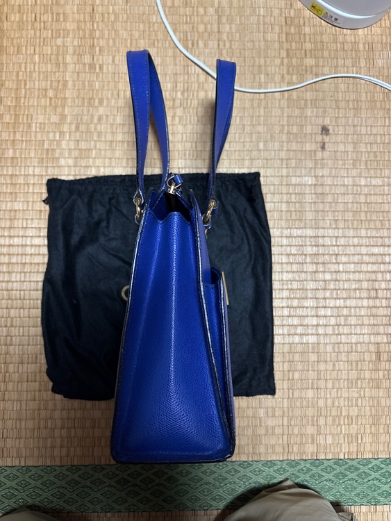 ターンロック レザー（ブランドバッグ）の商品画像 - 査定依頼日：2026年8月2日 - 最高査定価格：100,000円