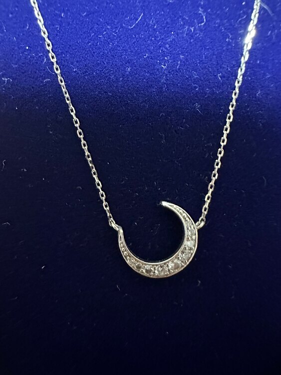 LKサロン　月ミニネックレス（宝石）の商品画像 - 査定依頼日：2024年2月3日 - 最高査定価格：25,000円