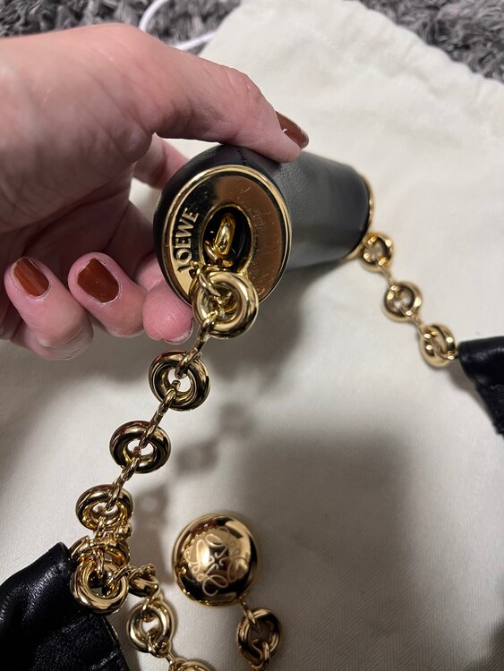 ロエベ  スクイーズ（ブランドバッグ）の商品画像 - 査定依頼日：2024年12月30日 - 最高査定価格：310,000円