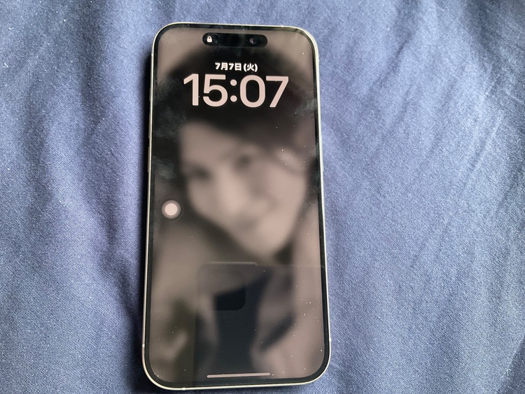 iPhone iPhone 15 Pro Max 256GB SIMフリー（スマホ）の商品画像 - 査定依頼日：2026年7月7日 - 最高査定価格：105,000円