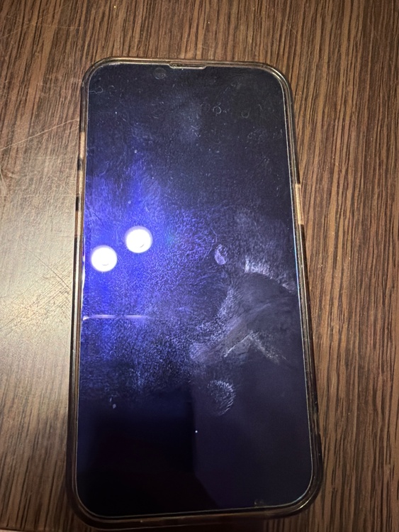 iPhone iPhone 13 Pro 256GB docomo（スマホ）の商品画像 - 査定依頼日：2026年6月3日 - 最高査定価格：43,000円