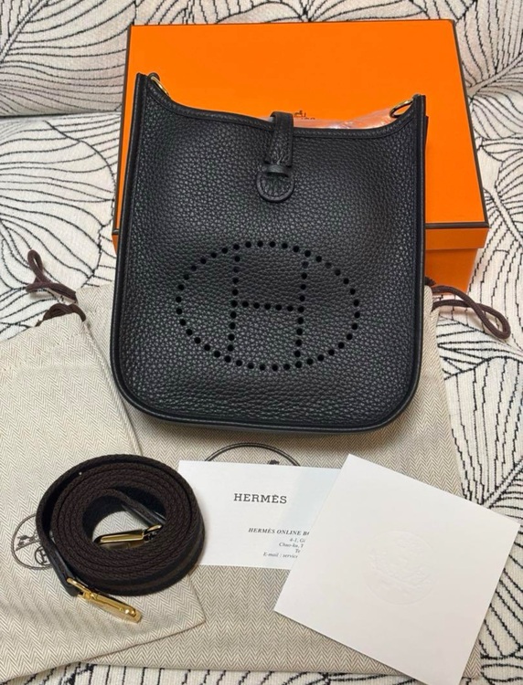 ミニエブリン（ブランドバッグ）の商品画像 - 査定依頼日：2025年8月5日 - 最高査定価格：400,000円