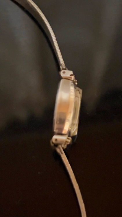 WG14K（高級時計）の商品画像 - 査定依頼日：2026年1月26日 - 最高査定価格：60,000円