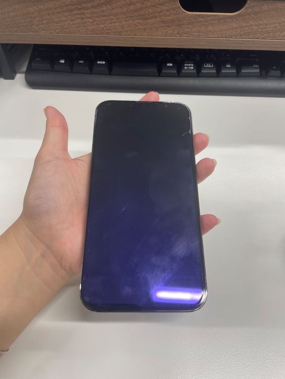 iPhone iPhone 13 Pro Max 256GB SIMフリー（スマホ）の商品画像 - 査定依頼日：2026年10月5日 - 最高査定価格：53,000円