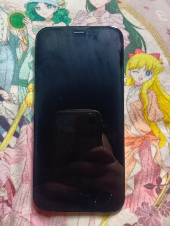 iPhone iPhone 12 Pro 128GB au（スマホ）の商品画像 - 査定依頼日：2026年9月25日 - 最高査定価格：25,000円
