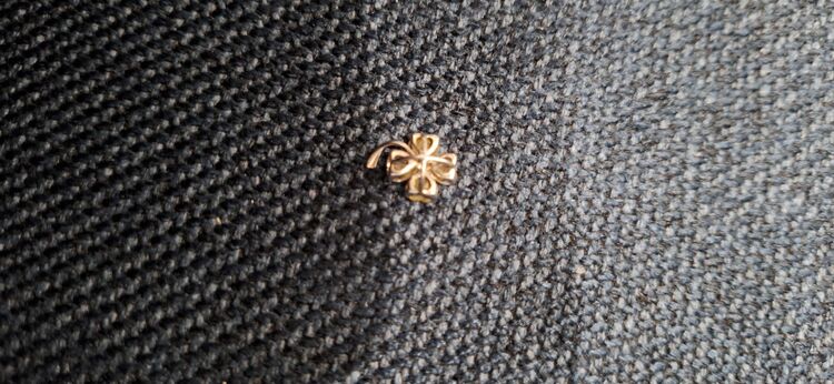 ペンダントトップ（金・貴金属）の商品画像 - 査定依頼日：2025年8月3日 - 最高査定価格：15,000円