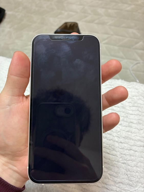 アイホン12 128Ｇ（スマホ）の商品画像 - 査定依頼日：2026年3月20日 - 最高査定価格：27,000円