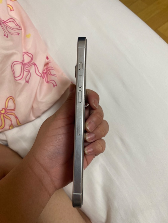 iPhone 16 Pro Max 256GB SIMフリー（スマホ）の商品画像 - 査定依頼日：2026年3月20日 - 最高査定価格：130,000円