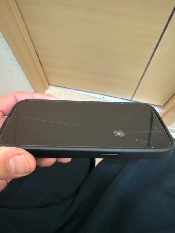 iPhone 15 Pro 256GB SIMフリー（スマホ）の商品画像 - 査定依頼日：2026年3月14日 - 最高査定価格：76,000円