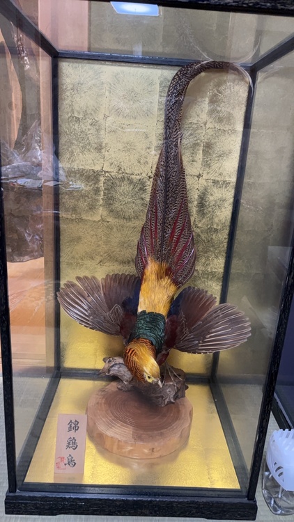 剥製（美術品・骨董品）の商品画像 - 査定依頼日：2026年2月1日 - 最高査定価格：100,000円