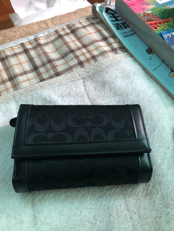 その他 コーチ （ブランドバッグ）の商品画像 - 査定依頼日：2026年3月22日 - 最高査定価格：2,000円