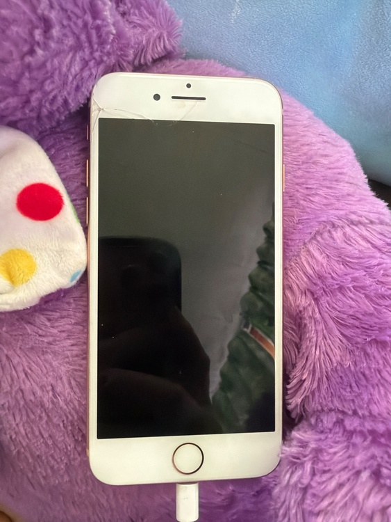 iPhone8 64GB（スマホ）の商品画像 - 査定依頼日：2026年3月5日 - 最高査定価格：4,000円