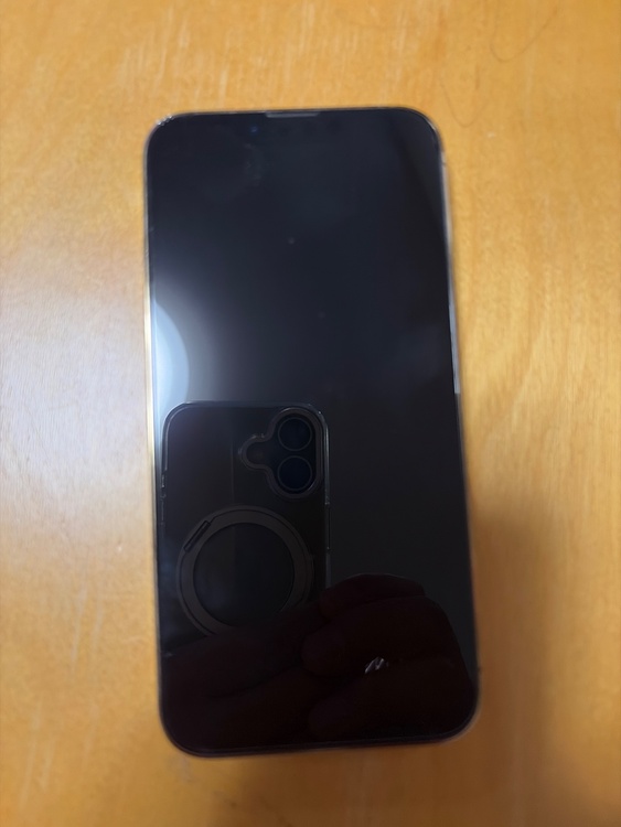 iPhone 13 Pro 256GB 楽天モバイル（スマホ）の商品画像 - 査定依頼日：2026年4月22日 - 最高査定価格：49,000円