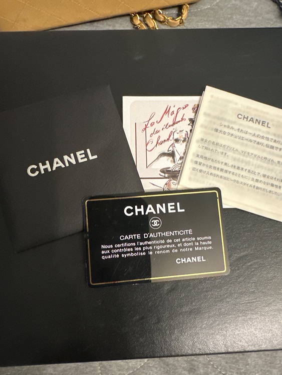 シャネル シャネル(その他) （ブランドバッグ）の商品画像 - 査定依頼日：2025年9月20日 - 最高査定価格：550,000円