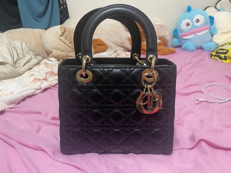 ディオール  （ブランドバッグ）の商品画像 - 査定依頼日：2025年7月6日 - 最高査定価格：400,000円