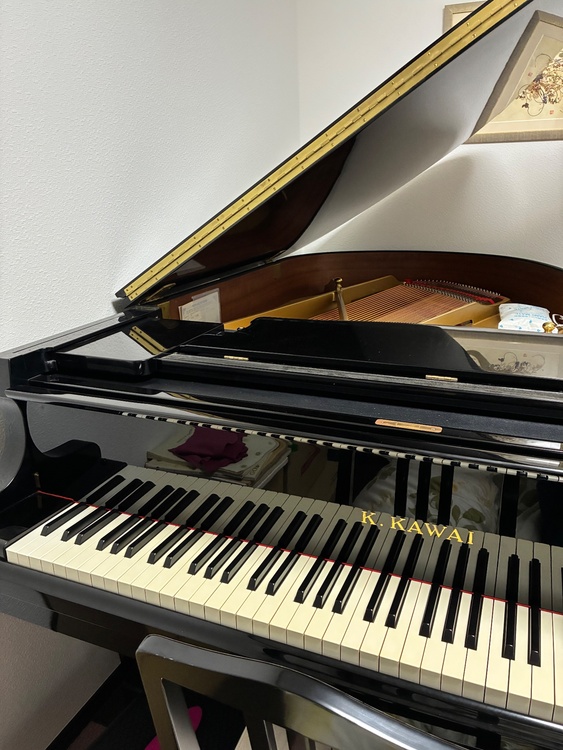 RX-2ACLE D M/PEツPM（ピアノ・楽器・PA機材）の商品画像 - 査定依頼日：2026年6月9日 - 最高査定価格：20,000円