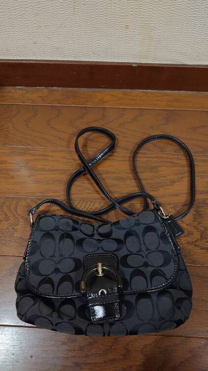 ショルダーバッグ（ブランドバッグ）の商品画像 - 査定依頼日：2025年4月4日 - 最高査定価格：3,000円