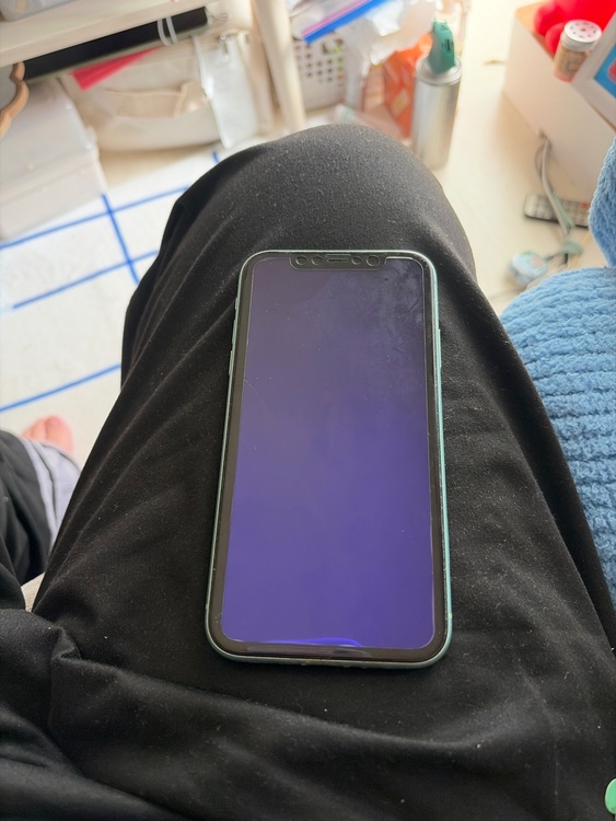 iPhone iPhone11 128GB SIMフリー（スマホ）の商品画像 - 査定依頼日：2026年9月25日 - 最高査定価格：21,500円