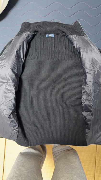 Herno、ハイブリッドダウン（古着・ファッション）の商品画像 - 査定依頼日：2025年12月14日 - 最高査定価格：25,000円