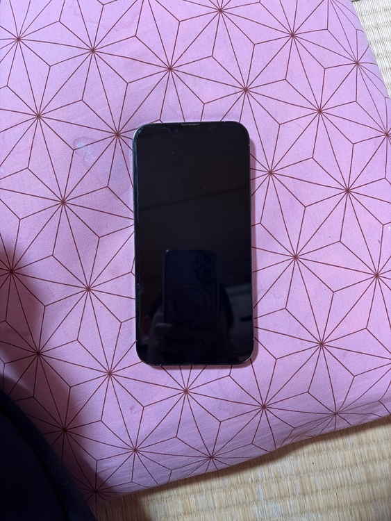 iPhone 13 Pro Max 256GB au（スマホ）の商品画像 - 査定依頼日：2026年3月25日 - 最高査定価格：51,000円