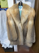 ゴールデンアイスランドフォックス（古着・ファッション）の商品画像 - 査定依頼日：2026年4月3日 - 最高査定価格：10,000円