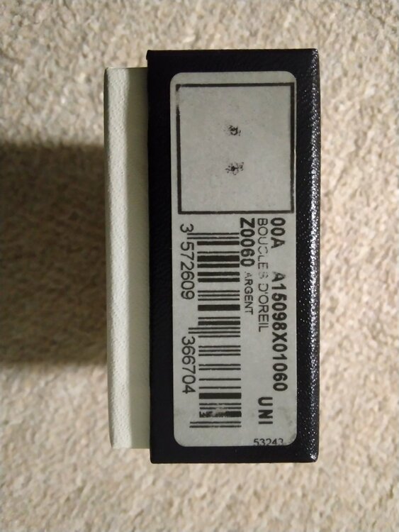 ピアス（金・貴金属）の商品画像 - 査定依頼日：2025年12月11日 - 最高査定価格：30,000円