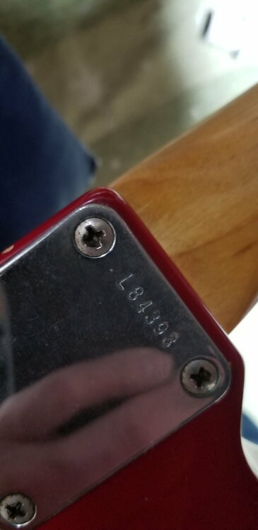 フェンダームスタング1964年（ピアノ・楽器・PA機材）の商品画像 - 査定依頼日：2026年4月5日 - 最高査定価格：300,000円