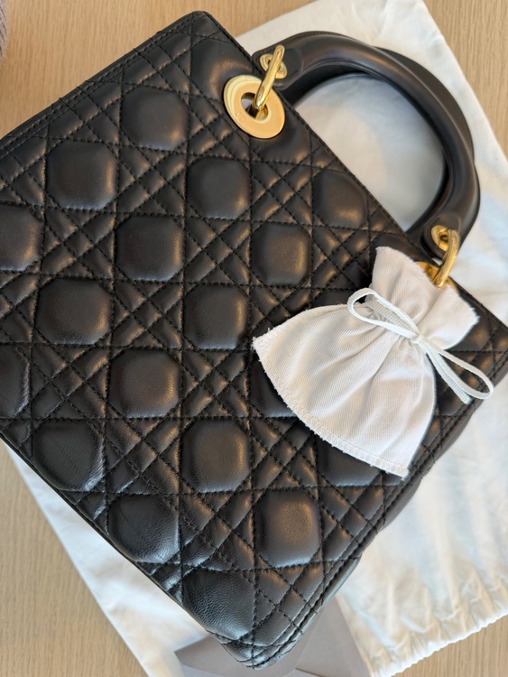 レディディオール（ブランドバッグ）の商品画像 - 査定依頼日：2026年1月30日 - 最高査定価格：230,000円