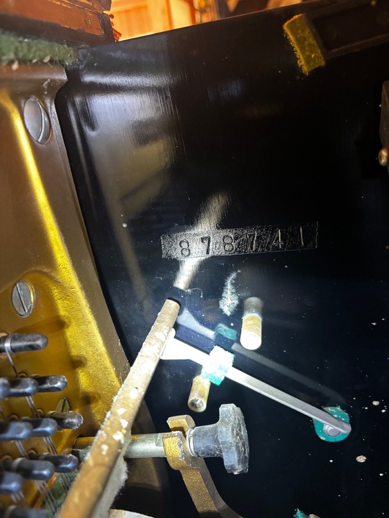 U3E（ピアノ・楽器・PA機材）の商品画像 - 査定依頼日：2026年2月9日 - 最高査定価格：1,000円