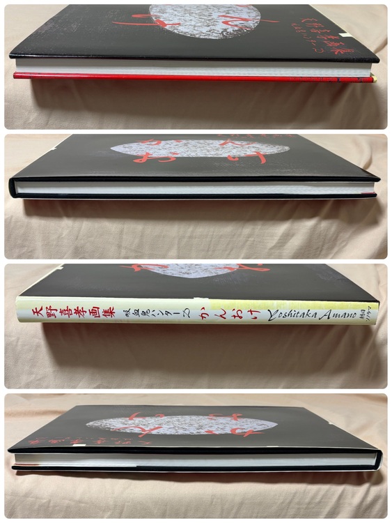 天野喜孝画集「吸血鬼ハンターD」かんおけ【初版】（美術品・骨董品）の商品画像 - 査定依頼日：2025年11月15日 - 最高査定価格：7,500円