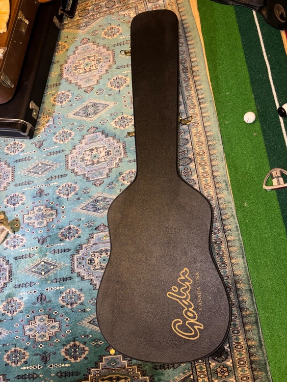 Godin model A4（ピアノ・楽器・PA機材）の商品画像 - 査定依頼日：2026年10月2日 - 最高査定価格：45,000円