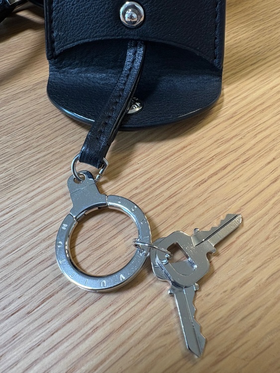 型番不明　限定商品（ブランドバッグ）の商品画像 - 査定依頼日：2026年2月25日 - 最高査定価格：110,000円