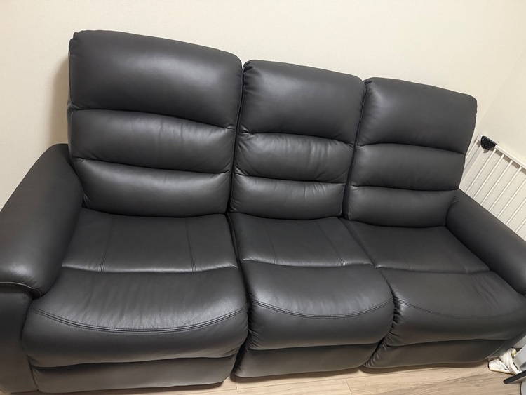 ニトリ　Nビリーバ（家具・寝具）の商品画像 - 査定依頼日：2026年1月7日 - 最高査定価格：4,000円