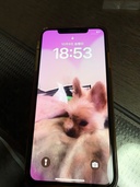 iPhone iPhoneXS Max 512GB docomo