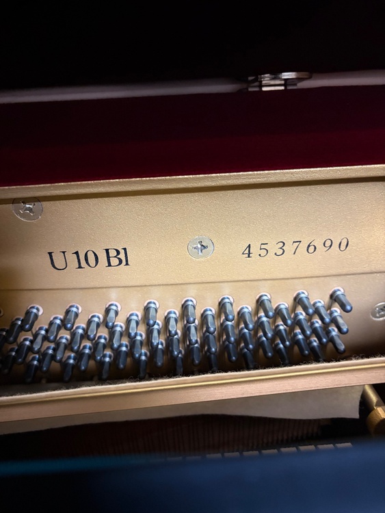 U10BI（ピアノ・楽器・PA機材）の商品画像 - 査定依頼日：2026年3月29日 - 最高査定価格：10,000円