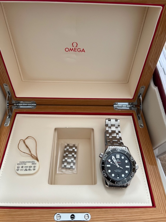 オメガ シーマスター 210-30-42-20-01-00（高級時計）の商品画像 - 査定依頼日：2026年2月2日 - 最高査定価格：600,000円