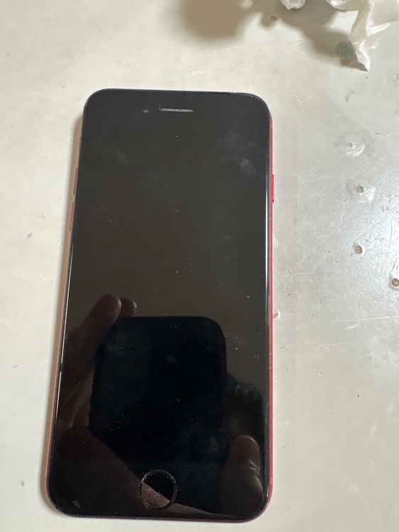 iPhone iPhone SE (第 3 世代) 256GB docomo（スマホ）の商品画像 - 査定依頼日：2026年6月4日 - 最高査定価格：30,000円