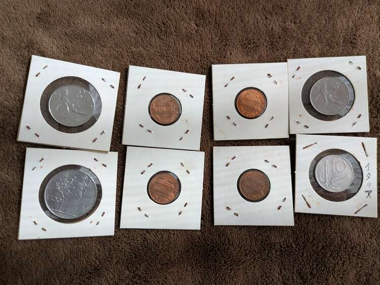 外国コイン（美術品・骨董品）の商品画像 - 査定依頼日：2025年2月23日