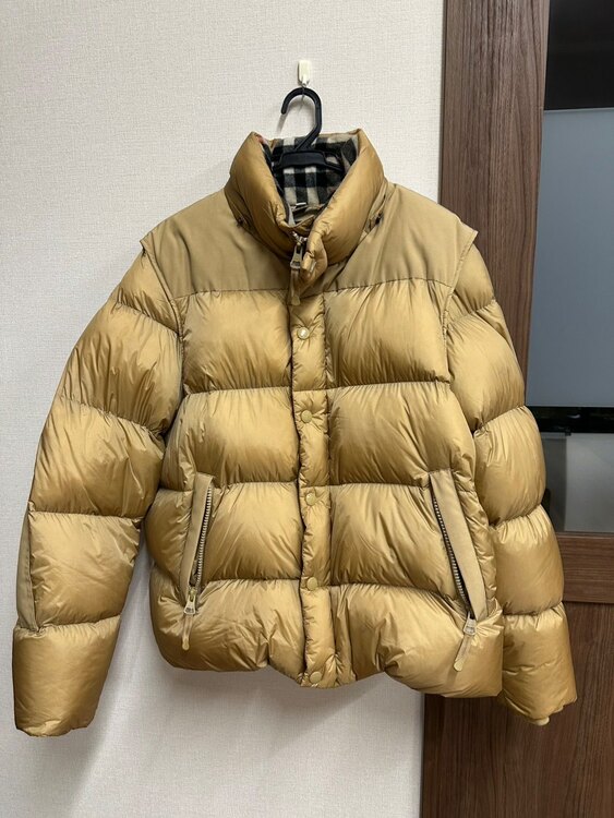 その他 バーバリー （ブランドバッグ）の商品画像 - 査定依頼日：2025年5月30日 - 最高査定価格：20,000円